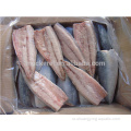 Frozen Pacific Mackerel Scomber Japonicus Filet